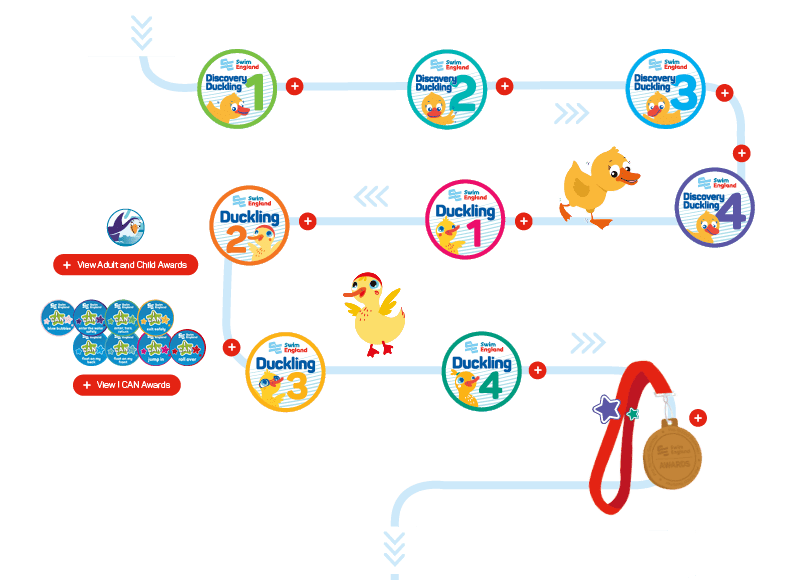 LTS Awards Journey